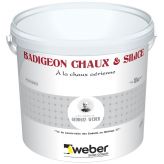 WEBER BADIGEON CHAUX ET SILICE 10KG (WEBER.PRODEXOR K+S)