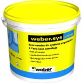 WEBERSYS PROTEC 20KG