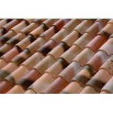 FAITIERE/ARETIER CONIQUE 302XG - Castelviel